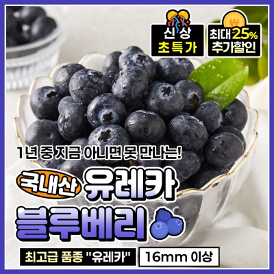 새콤달콤 국내산 프리미엄 품종 유레카 블루베리 400g
