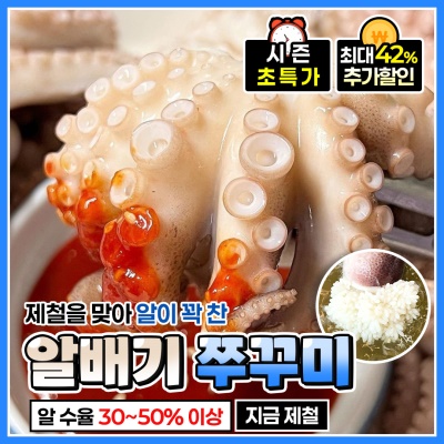 [특가할인] 알 수율 평균 이상! 당일바리 알배기 쭈꾸미