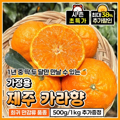 제철 프리미엄 만감류 제주 가정용 카라향