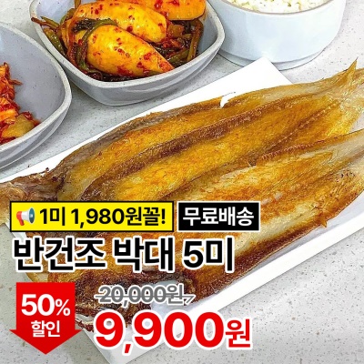 [1만원대 이하!] 쫄깃쫄깃 국민생선 자연산 반건조 박대 5미