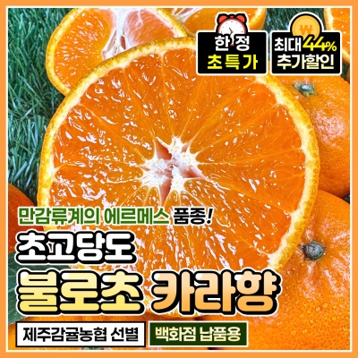 13Brix 이상! 진짜 프리미엄 감귤! 달콤한 불로초 카라향
