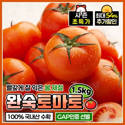GAP 인증! 당일 수확 단단한 완숙토마토 1.5kg