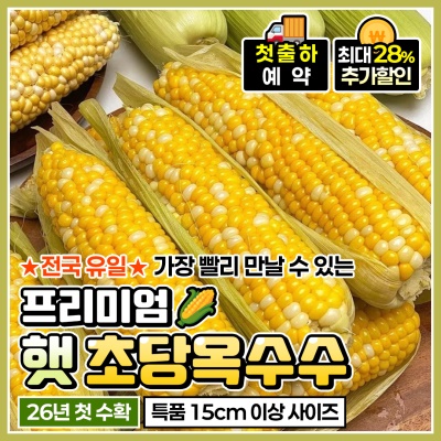[첫출하 예약!] 달콤한 프리미엄 햇 초당옥수수