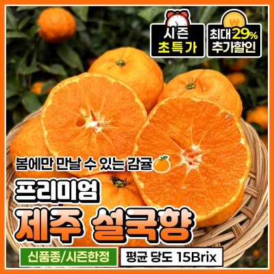 울퉁불퉁 고당도 신품종 프리미엄 감귤 제주 설국향