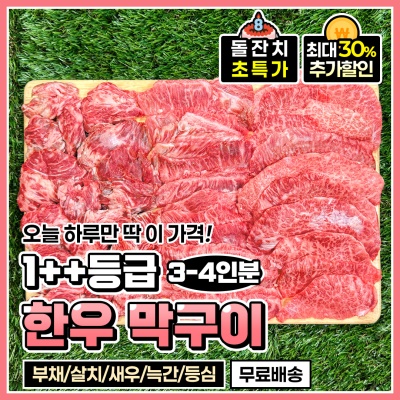 [돌잔치 할인!] 한우 1++(7,8,9)투쁠 모둠 막구이 로스구이 500g(3-4인분)