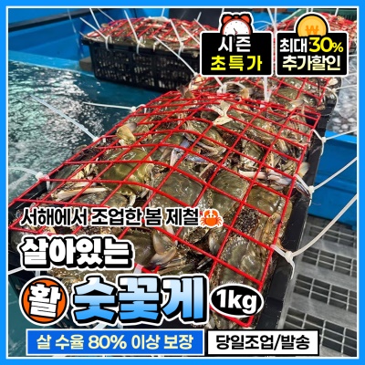 제철 활 꽃게 살아있는 활 숫꽃게 1kg