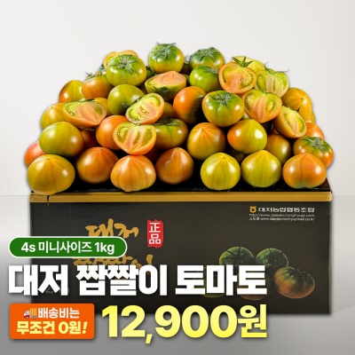 한입에 쏙! 정품 미니 짭짤이 대저토마토