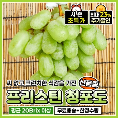 달콤함이 톡 터지는 아삭함! 씨 없는 프리스틴 청포도