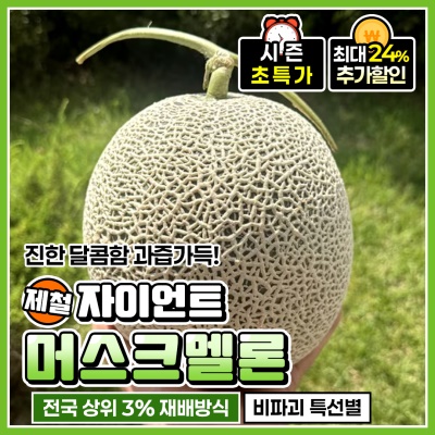 비파괴 선별 자이언트 머스크멜론 프리미엄 백화점 멜론
