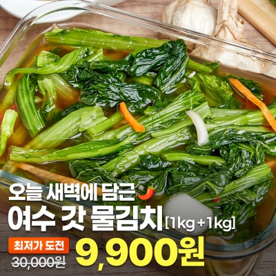 [여수 정품] 돌산갓 물김치 알싸한 전라도식 국내산 갓김치