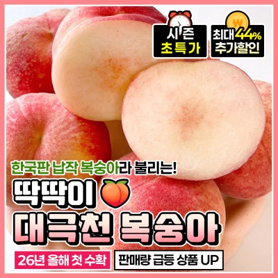 달콤+아삭+쫀득 3박자 반납작 복숭아! 하우스 대극천 복숭아