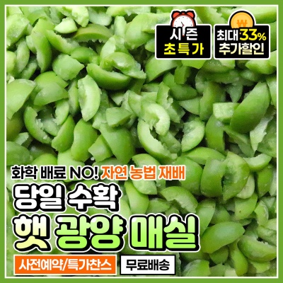 [사전예약!] 26년 햇 광양 깐 매실 쪼갠 매실 2kg