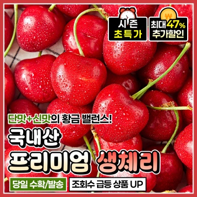 짧은 시즌에만 만나는 프리미엄 국내산 생체리
