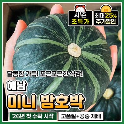 밤처럼 포근포근 달콤한 해남 하우스 햇 미니밤호박