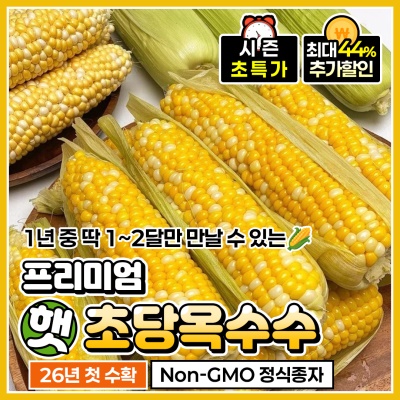 26년 첫 수확 달콤한 프리미엄 햇 초당옥수수