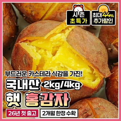 포슬포슬한 식감이 예술인 국내산 26년 햇 카스테라 홍감자