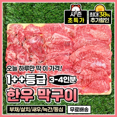 한우 1++(7,8,9)투쁠 모둠 막구이 로스구이 500g(3-4인분)