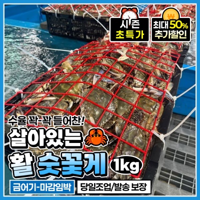 제철 활 꽃게 살아있는 활 숫꽃게 1kg