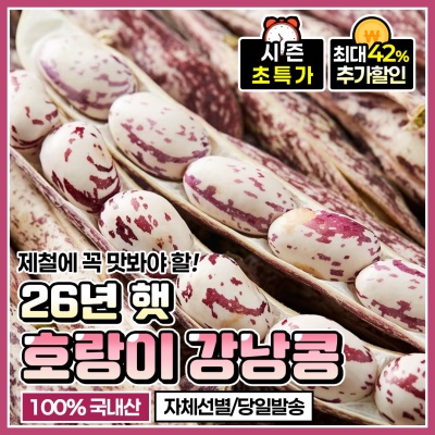 영양만점 담백한 햇 호랑이 강낭콩