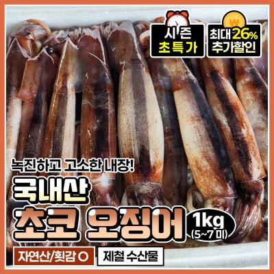 당일바리 싱싱한 생물 통찜 오징어 초코 오징어 1kg