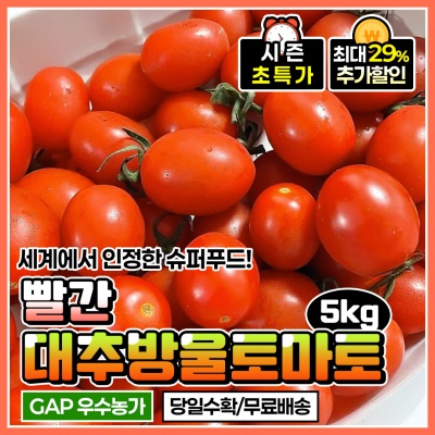 GAP 인증! 빨간 방울토마토 대추방울토마토 5kg