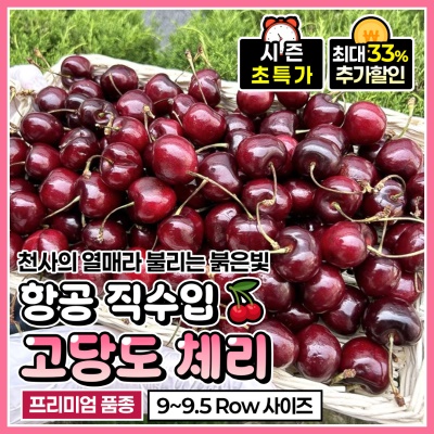 항공수입 프리미엄 고당도 체리