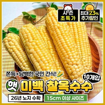 올해 첫 수확! 쫀득 구수한 햇 노지 미백 찰옥수수