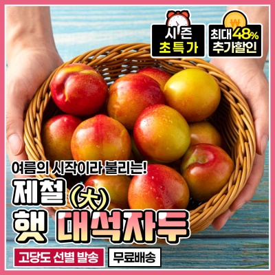 지금 가장 맛있는 아삭 달콤 여름 햇 대석자두 1.5kg 3kg