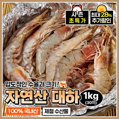 100% 자연산 제철 국내산 대하 왕새우 1kg (30미 내외)