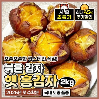 속이 노~란 포슬포슬 햇 홍감자 카스테라 감자