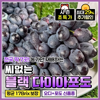 [전국유일 7농가!] 씨 없는 고당도 블랙 다이아포도 
