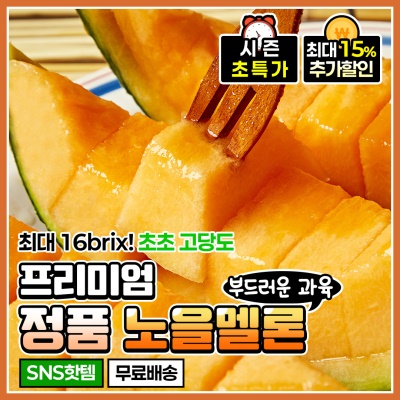 달콤한 과육 당도선별 고당도 정품 노을 멜론