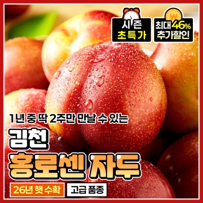 달콤 가득 산지직송 김천 노지 홍로센 자두