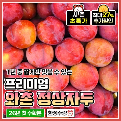 새콤달콤한 맛이 진한 26년 햇 경산 정상자두 와촌자두