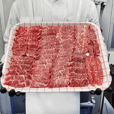 국내산 1등급 소 한마리 모둠 1kg (꽃등심, 채끝살, 갈비살, 부채살)
