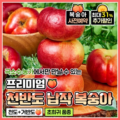 [사전예약] 쫀득하고 달콤한 26년 햇 천반도 납작복숭아