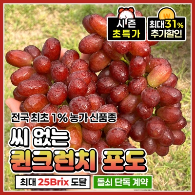 씨 없는 아삭아삭한 고당도 퀸크런치포도