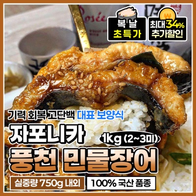 두툼한 자포니카 풍천 대장어 민물장어 1kg (실중량 750g 내외)