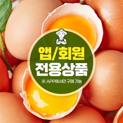 무항생제 유정란 계란 20구