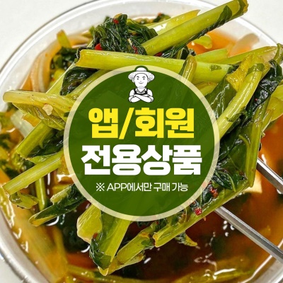제철 열무 물김치 5kg
