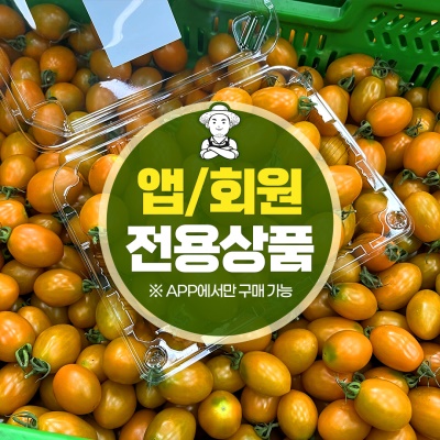 오렌지 대추방울토마토 500g