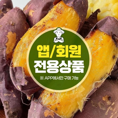 돌쇠네 자체선별 황금 꿀고구마 2kg
