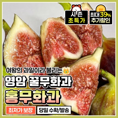 고당도 영암 하우스 홍무화과 생무화과