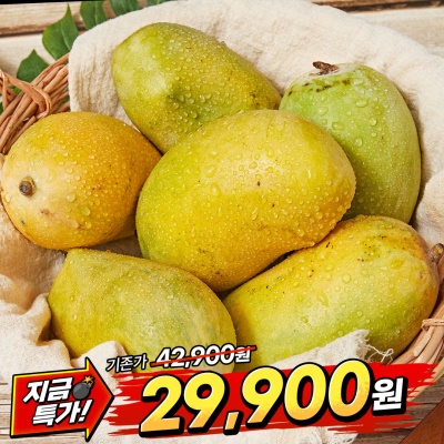 [땡처리] 달콤함의 끝판왕 파키스탄 화이트 존사망고