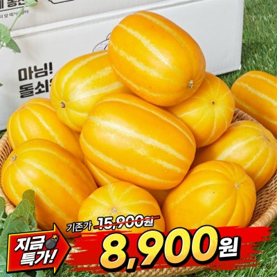 [땡처리] 자체선별 프리미엄 하우스 성주 꿀참외