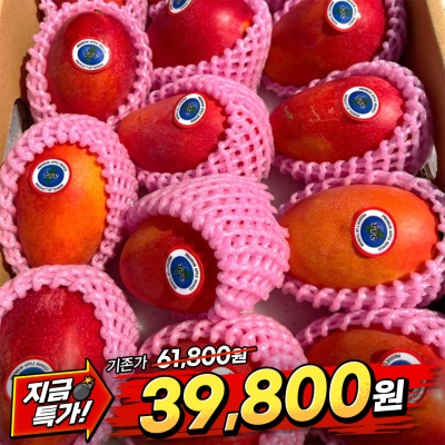 [땡처리] 고당도 프리미엄 직수입 대만 애플망고 
