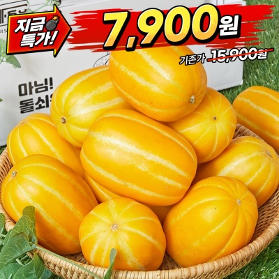 [땡처리] 자체선별 프리미엄 하우스 성주 꿀참외