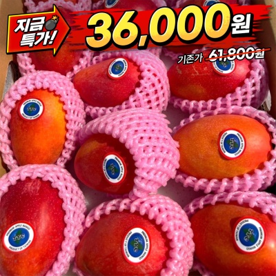 [땡처리] 프리미엄 직수입 대만 애플망고 