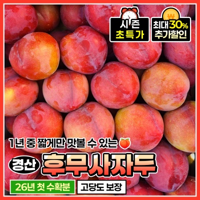 진한 단맛 풍부한 과즙 26년 햇 경산 후무사자두