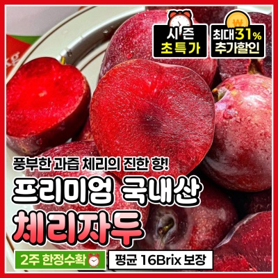 체리와 자두의 만남! 새콤달콤한 나디아 체리자두 피자두